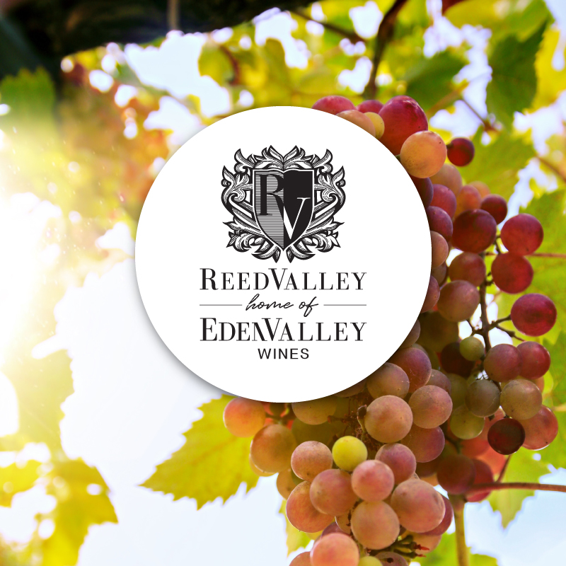 Reedvalley Projects Thumbnail